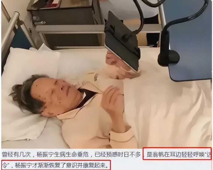 真相了！翁帆终于说出当年嫁给82岁杨振宁内幕，20年从不一起睡